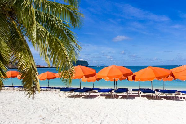 St Martin Beach with palm tree and orange umbrellas